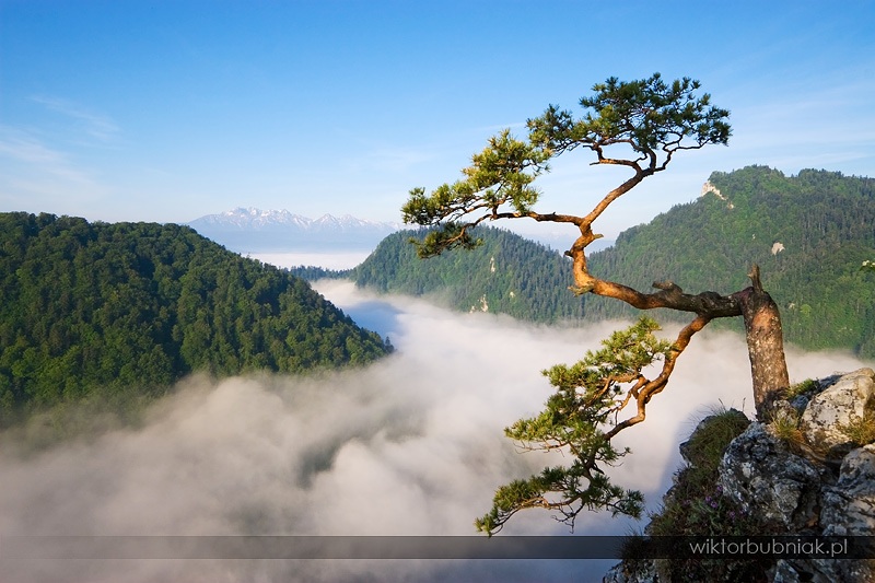 Sokolica Peak in Pieniny, Poland